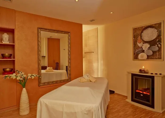 Hotel H+ Hotel&spa 4*