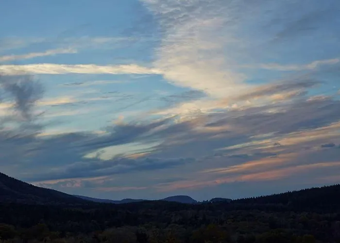 H+ & 4* Friedrichroda